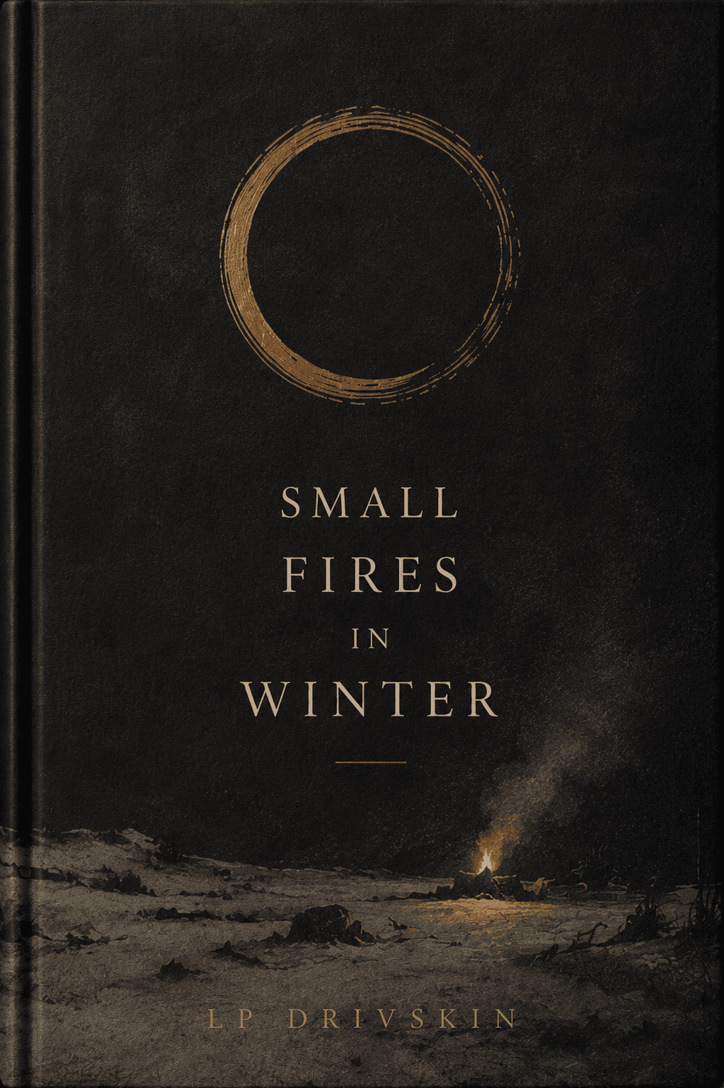 Cover of Small Fires in Winter by L.P. Drivskin
